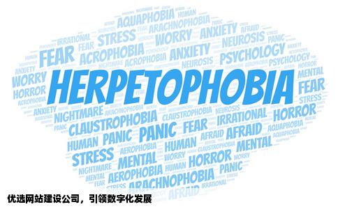 网站制作网站设计网站建设哪家公司好