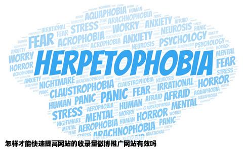 怎样才能快速提高网站的收录量微博推广网站有效吗