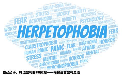 在当地自己利用源码做一个BB网站运营怎么才能盈利