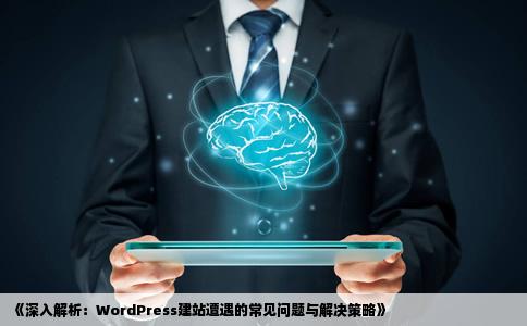 求助使用wordpress建站遇到的问题