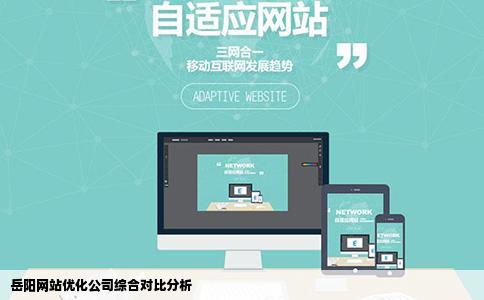 岳阳网站优化公司哪家好
