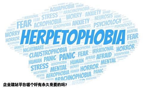 企业建站平台哪个好有永久免费的吗