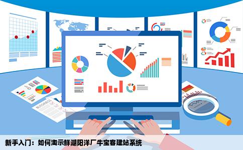 我是新手不知道怎么淘示鲜湖阳洋厂牛宝客建站系统