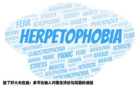 哪个网站可以看到病人对医生的评价和投票除了好大夫在线外