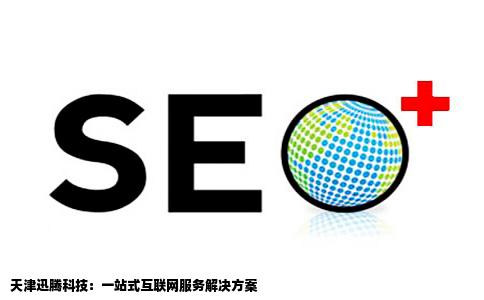 天津迅腾科技提供网站建设虚拟服务器域名注册seo等各种服务