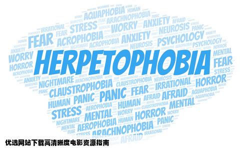 哪个网站可以下1080P甚至更高的电影