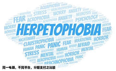 某人在两个网站购买了相同价格的同一电器且均采用分期付款方式