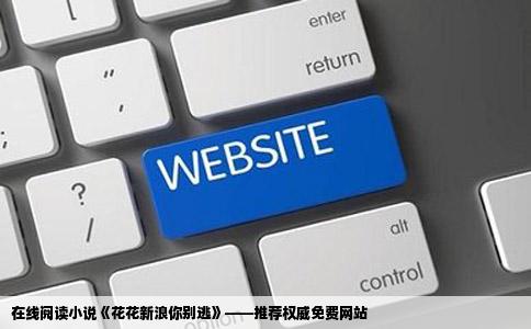 在哪个网站可以免费在线阅读小说花花新浪你别逃
