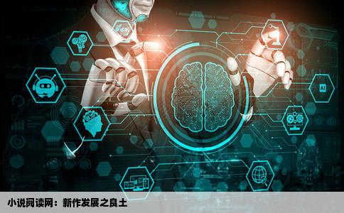 小说阅读网适合新作品发展吗这个网站怎么样