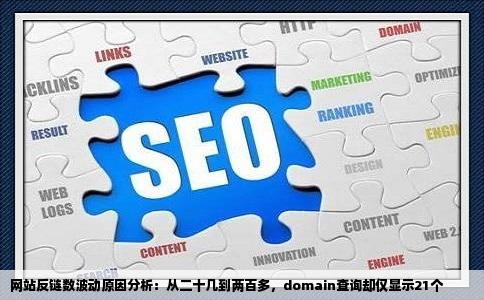 为什么网站反链数一会二十几一会又两百多domain查询只21个但