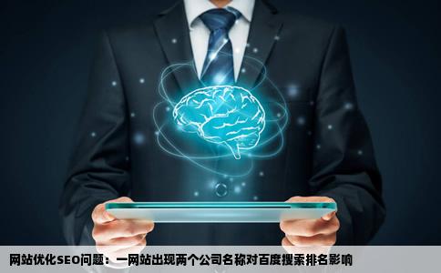 网站优化SEO问题一个网站出现两个公司名称百度会不会降级