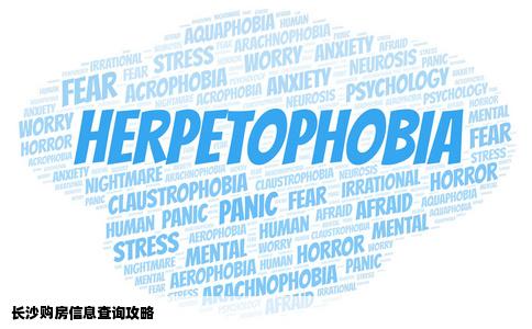 你好我是长沙的请问我想买房子去哪个网站查询比较好啊