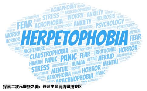 有没有什么网站专门提供二次元高清壁纸的我想要关于苍蓝的