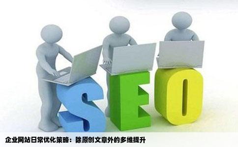 对一个企业网站来说每天除了更新原创文章还可以进行一些什么的优化