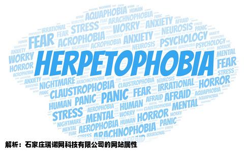 请问石家庄瑞诺网科技有限公司的网站是外贸网站吗