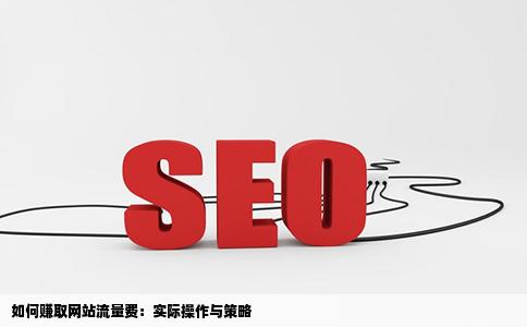 建立网站后怎么赚取流量费