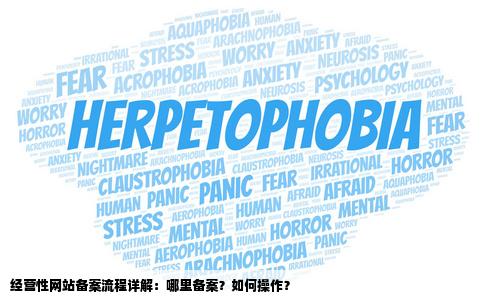 经营性的网站备案在地方哪里备案