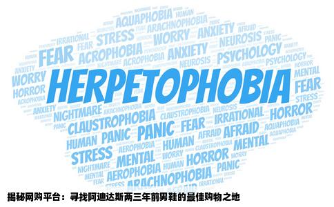 那个购物网站可以买到阿迪达斯两三年前的男鞋跪求