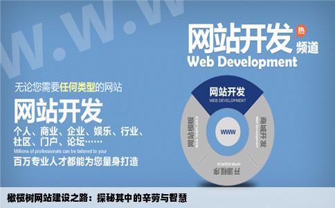 网站建设怎么样做网站建设工作累吗上海橄榄树