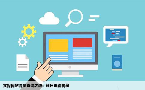 请问有没有办法查询一个网站的每日流量我查得不是排名而是每日