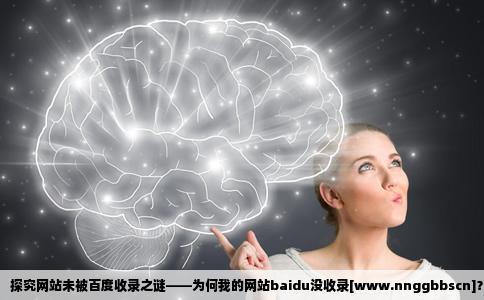 为什么我的网站baidu都没收录wwwnnggbbscn