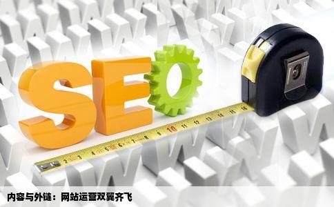网站运营中是内容为皇还是外链为皇呢