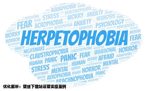 网站运营优化实例分享之壁纸下载站