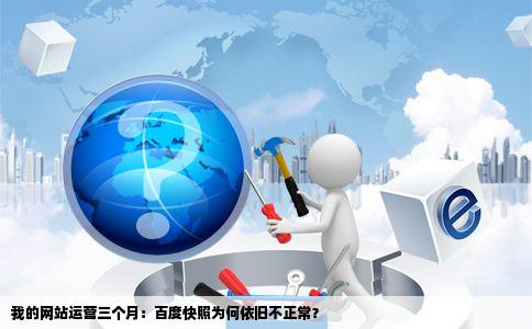 本人的网站运营3个月时间百度快照为何还是不正常