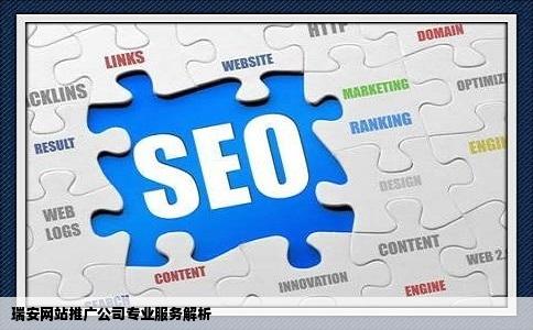 瑞安有没有专门做网站推广的公司