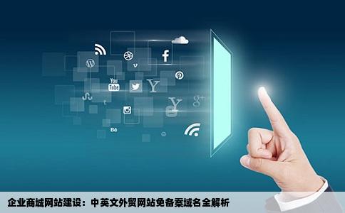 企业商城网站建设中英文外贸网站建设免备案网站建设域名
