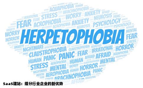 SaaS建站对于行业如此细分的国内企业来说优势在哪