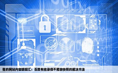 我的网站是龌龊汇百度有收录但始终不释放快照怎么办