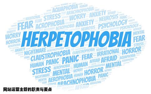 怎样做好网站运营主管该注意什么