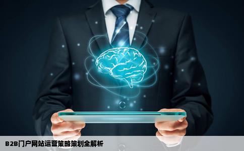 如何策划B2B门户网站运营
