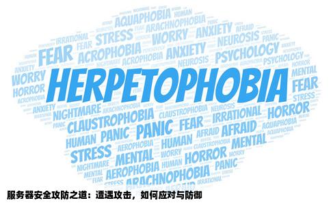 网站服务器经常遭受攻击求指点