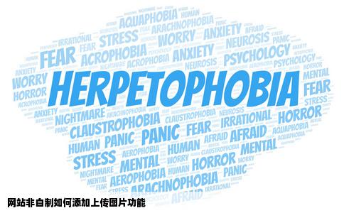 我想在网站上添加一个上传图片的功能网站不是我自己做的怎么加