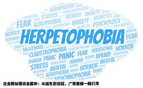 一个企业网站只买个域名买个空间还需要什么条件网站的广告如何