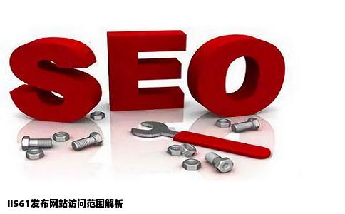 IIS61发布的网站只能在局域网中看到吗在广域网就不可以访问了吗