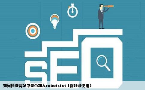 怎么检查网站中加没加robotstxt除了用谷歌