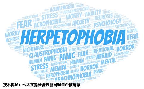 技术贴怎样判断一个网站是否被屏蔽