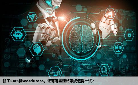 建站系统除了cmswordpress还有什么