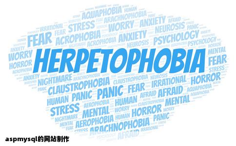 aspmysql的网站制作