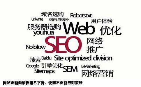 网站每天更新但是不收录排名下降快照不更新怎么办