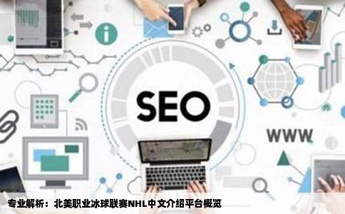 有介绍北美职业冰球联赛NHL的专业中文网站吗