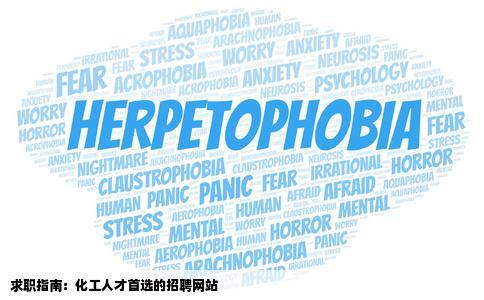 在哪个网站找工作作最好化工方面的