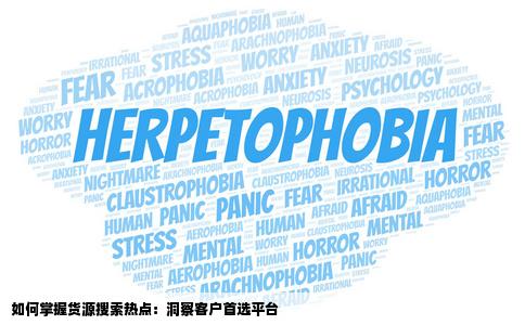 让更多的客户知道呢现在客户搜索最多的是哪个网站平台上找货源阿