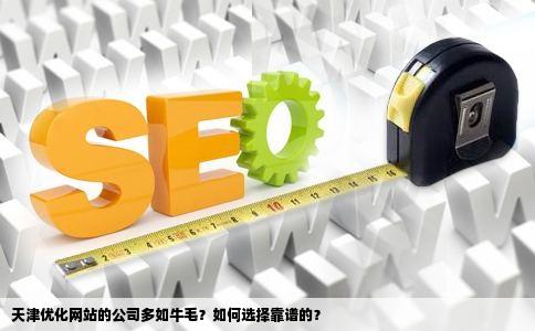 天津优化网站的公司有很多吗