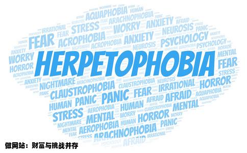 做网站真的可以赚钱吗做网站累吗