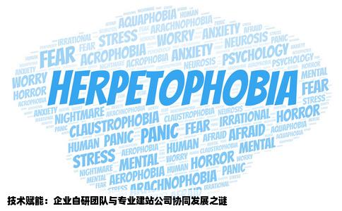 企业有了自己的技术团队为什么还要找专业的建站公司