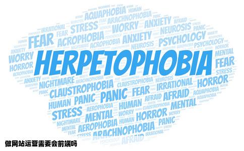 做网站运营需要会前端吗